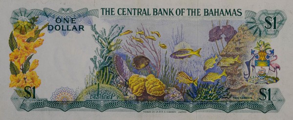 Багамский доллар